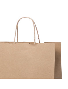 BOLSA DE PAPEL ASA RETORCIDA 24x31+12 ANÓNIMA KRAFT RECICLADO (CAJA 250 UDS.) 2